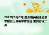 2022年9月03日最新相关报道消息 羊脂白玉真假怎样鉴别 主要有这三点