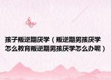 孩子叛逆期厌学（叛逆期男孩厌学怎么教育叛逆期男孩厌学怎么办呢）