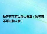 秋天可不可以种人参草（秋天可不可以种人参）