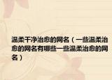 温柔干净治愈的网名（一些温柔治愈的网名有哪些一些温柔治愈的网名）