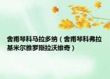 舍甫琴科马拉多纳（舍甫琴科弗拉基米尔雅罗斯拉沃维奇）