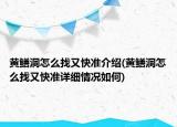 黄鳝洞怎么找又快准介绍(黄鳝洞怎么找又快准详细情况如何)