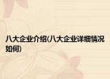 八大企业介绍(八大企业详细情况如何)