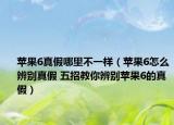 苹果6真假哪里不一样（苹果6怎么辨别真假 五招教你辨别苹果6的真假）