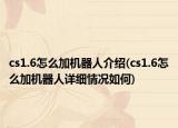 cs1.6怎么加机器人介绍(cs1.6怎么加机器人详细情况如何)