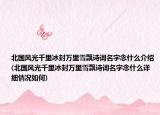 北国风光千里冰封万里雪飘诗词名字念什么介绍(北国风光千里冰封万里雪飘诗词名字念什么详细情况如何)