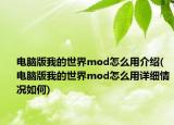 电脑版我的世界mod怎么用介绍(电脑版我的世界mod怎么用详细情况如何)