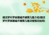 精灵梦叶罗丽黑暗齐娜第几集介绍(精灵梦叶罗丽黑暗齐娜第几集详细情况如何)