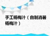手工杨梅汁（自制消暑杨梅汁）