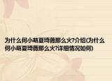 为什么何小萌夏琦薇那么火?介绍(为什么何小萌夏琦薇那么火?详细情况如何)