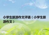 小学生旅游作文评语（小学生旅游作文）
