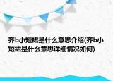 齐b小短裙是什么意思介绍(齐b小短裙是什么意思详细情况如何)