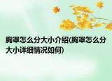 胸罩怎么分大小介绍(胸罩怎么分大小详细情况如何)
