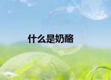 什么是奶酪