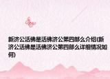 新济公活佛是活佛济公第四部么介绍(新济公活佛是活佛济公第四部么详细情况如何)