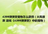 4399弹弹堂宠物怎么获得（火凤燎原 游戏《4399弹弹堂》中的宠物）