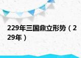 229年三国鼎立形势（229年）