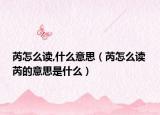 芮怎么读,什么意思（芮怎么读 芮的意思是什么）