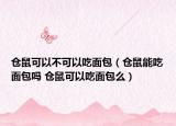 仓鼠可以不可以吃面包（仓鼠能吃面包吗 仓鼠可以吃面包么）