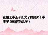 张柏芝小王子长大了的照片（小王子 张柏芝的儿子）