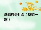 毕婚族是什么（毕婚一族）