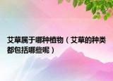 艾草属于哪种植物（艾草的种类都包括哪些呢）