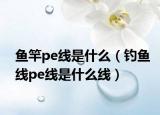 鱼竿pe线是什么（钓鱼线pe线是什么线）