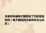违章停车被电子眼抓拍了罚款规定时间（电子眼拍到违章停车怎么处罚）