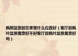 枫树盆景放在家里什么位置好（客厅放枫叶盆景寓意好不好客厅放枫叶盆景寓意好吗）