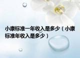小康标准一年收入是多少（小康标准年收入是多少）