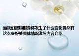 当我们接吻时身体发生了什么变化竟然有这么多好处具体情况详细内容介绍