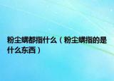 粉尘螨都指什么（粉尘螨指的是什么东西）