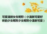 可爱清新女生昵称（小清新可爱好听的少女昵称少女昵称小清新可爱）