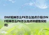 DNF枪神怎么PK怎么加点介绍(DNF枪神怎么PK怎么加点详细情况如何)