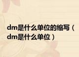 dm是什么单位的缩写（dm是什么单位）