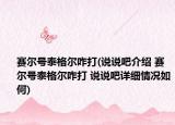 赛尔号泰格尔咋打(说说吧介绍 赛尔号泰格尔咋打 说说吧详细情况如何)