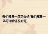 我们都是一朵花介绍(我们都是一朵花详细情况如何)