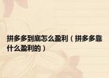 拼多多到底怎么盈利（拼多多靠什么盈利的）