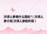 沙漠人参有什么用处?（沙漠人参介绍 沙漠人参的作用）