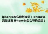 iphone6怎么限制流量（iphone6s流量设置 iPhone6s怎么节约流量）