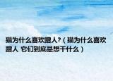 猫为什么喜欢蹭人?（猫为什么喜欢蹭人 它们到底是想干什么）