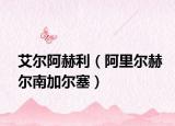 艾尔阿赫利（阿里尔赫尔南加尔塞）