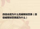 微信会因为什么而被限制登录（微信被限制登录因为什么）