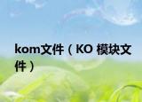 kom文件（KO 模块文件）