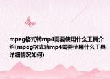 mpeg格式转mp4需要使用什么工具介绍(mpeg格式转mp4需要使用什么工具详细情况如何)
