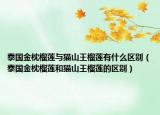 泰国金枕榴莲与猫山王榴莲有什么区别（泰国金枕榴莲和猫山王榴莲的区别）