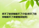 停不了的穿越瘦不了介绍(停不了的穿越瘦不了详细情况如何)