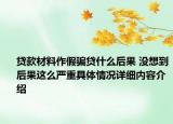 贷款材料作假骗贷什么后果 没想到后果这么严重具体情况详细内容介绍