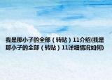 我是那小子的全部（转贴）11介绍(我是那小子的全部（转贴）11详细情况如何)