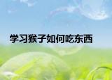 学习猴子如何吃东西